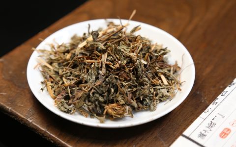 每天泡蒲公英喝的好处 健康养生新选择