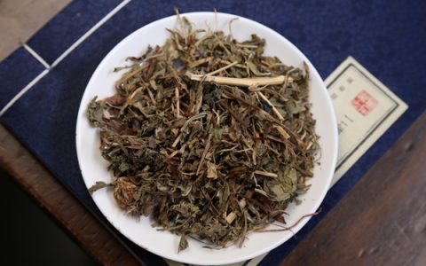 蒲公英根搭配指南 什么搭配泡水最好