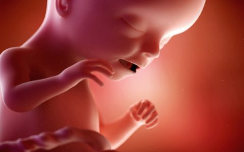 孕妇不能吃什么，这几类食物孕期一定要避开