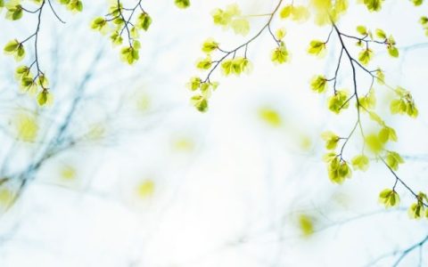 小满胜万全什么意思？一文读懂