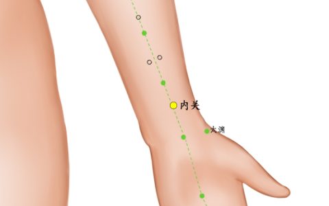 胳膊上有个“化栓穴”，没事经常揉一揉，血管干净，远离血栓！