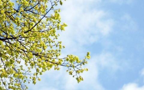 火把节2027是几月几号？火把节的风俗及寓意