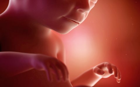 孕妇能吃什么？孕期常见食材选择与女性️妇科问题预防【孕妇能吃什么感冒药最安全】