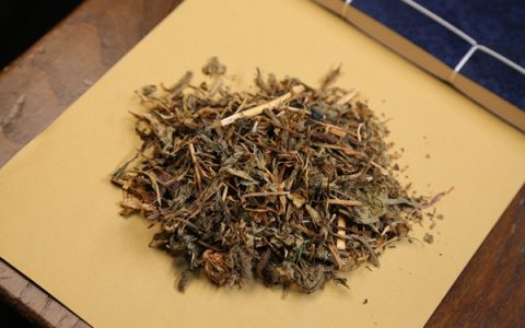 蒲公英会加速癌细胞扩散吗？科学解读来了