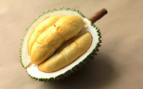 如何挑选榴莲？从外观到气味全方位教你选！