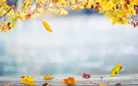 霜降生活作息应如何安排？顺应节气养护身体