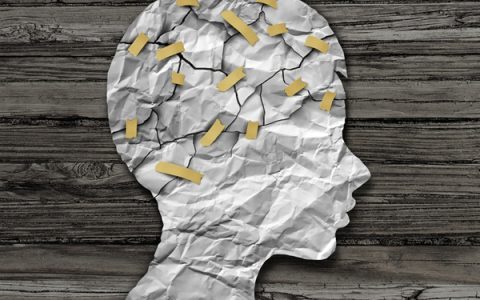 sbti人格测试火了，sbti人格测试链接入口怎么找【r人格测试】