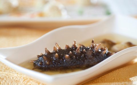 海参的营养价值与功效，滋补食材合理食用更健康