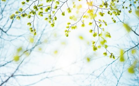 春季如何养身体，抓住季节特点做好养护